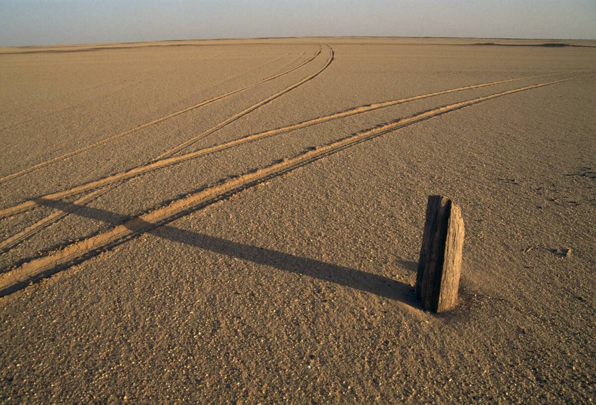 Petrified wood, tire tracks in sand, Bayuda Desert