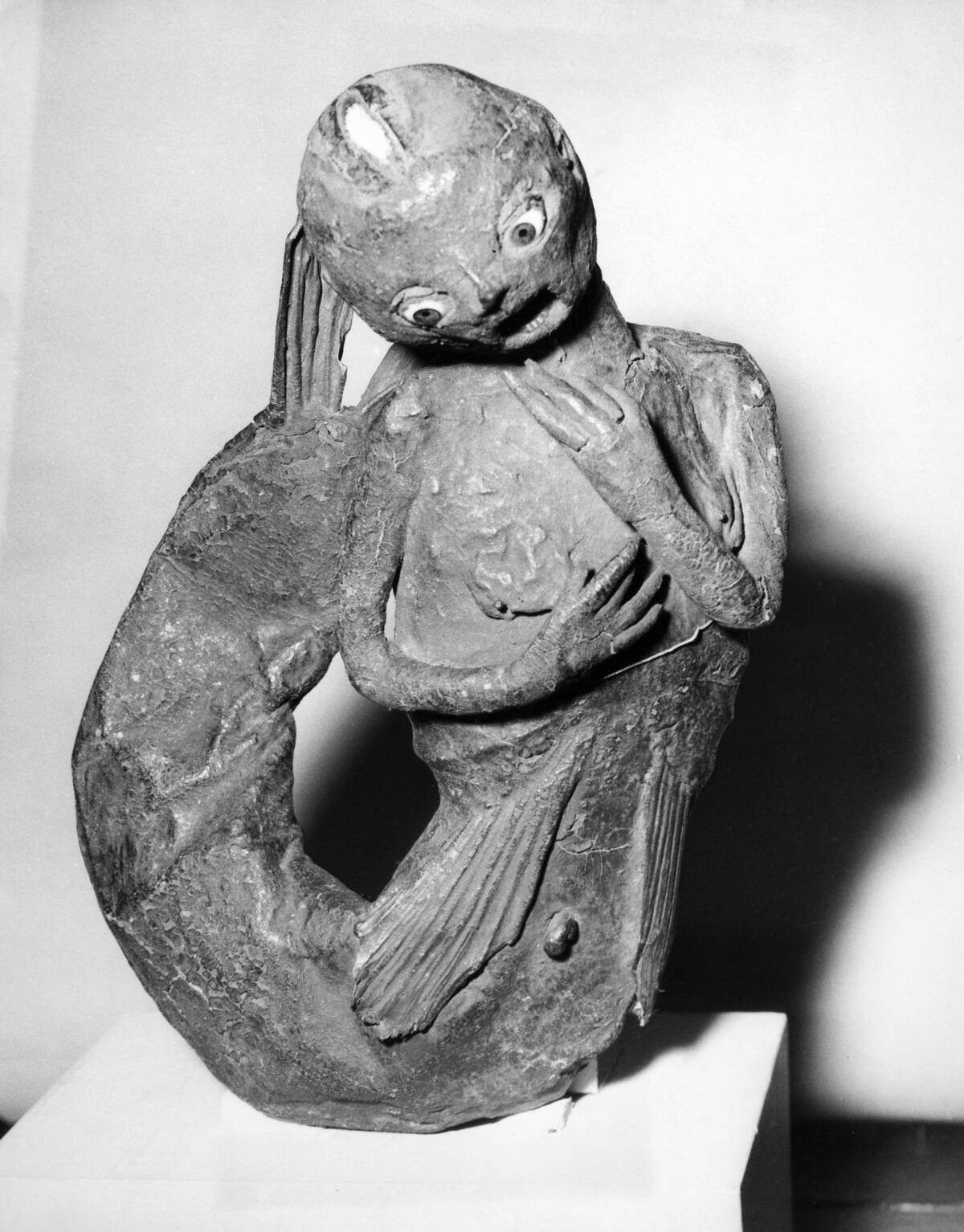 Sirène de Fidji exposée en 1961