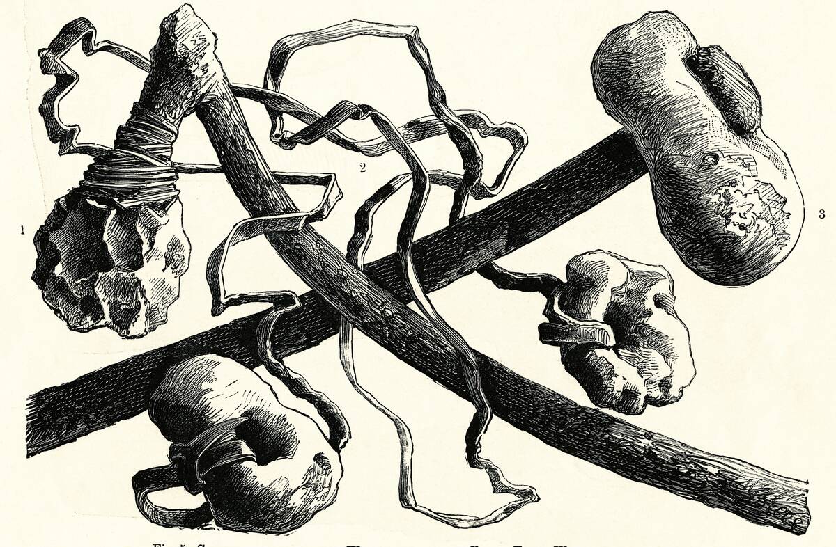 The Early Flint Weapons