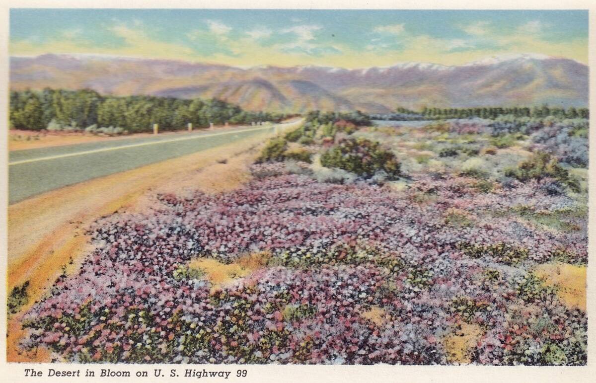 Vintage souvenir postcard, Mohave Desert, California Highways series, 1940
