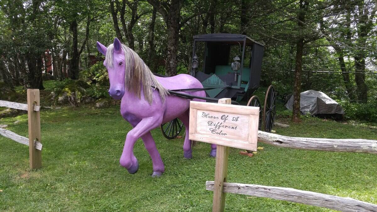 3840px-Land_of_Oz_horse