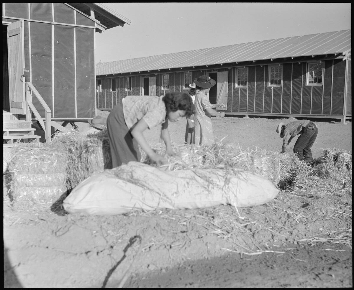 Poston,_Arizona._Evacuees_of_Japanese_ancestry_are_filling_straw_ticks_for_mattresses_after_arrival_._._._ NARA_-_536114