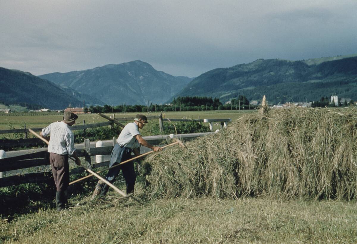 Austrian Farming