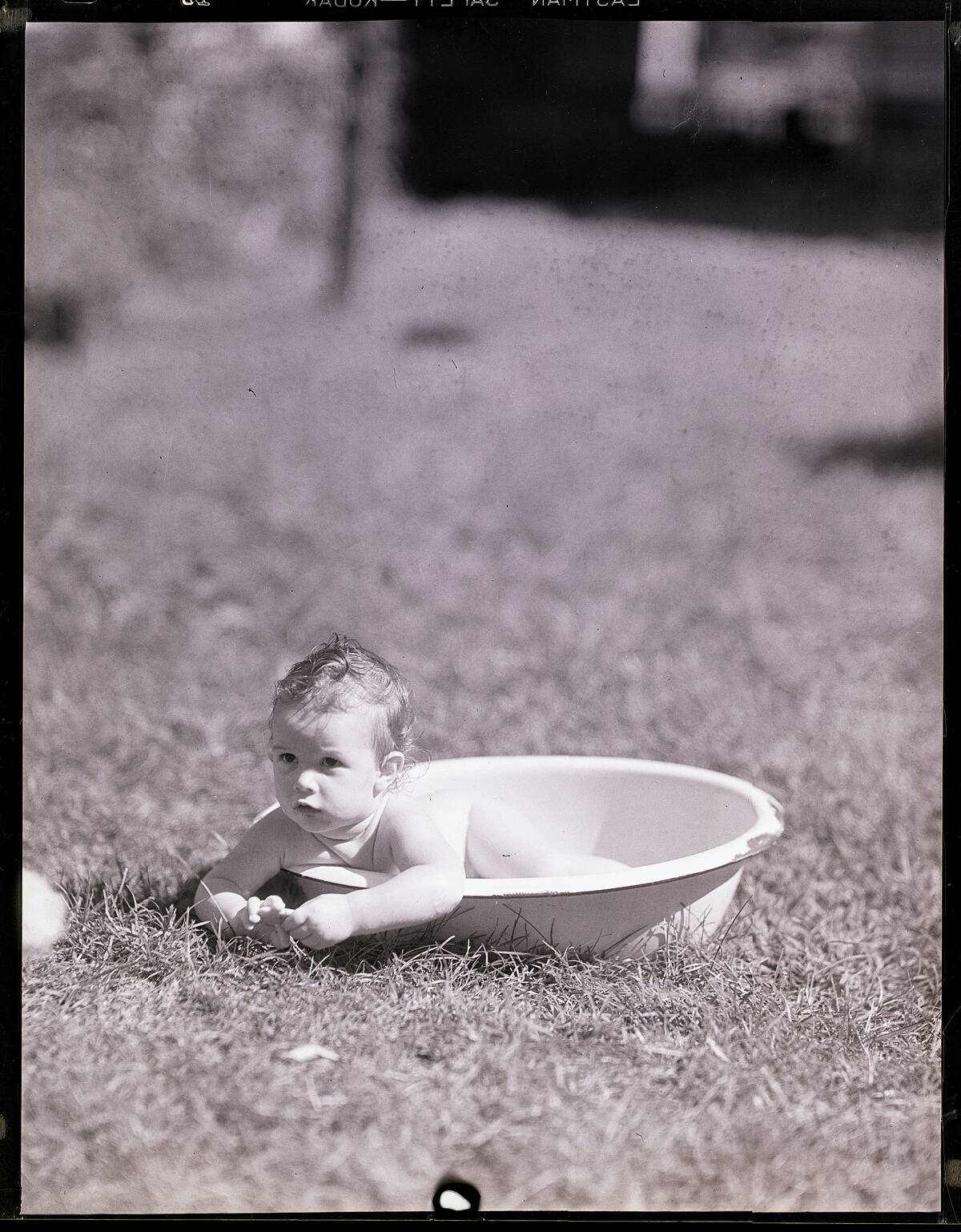 Baby in a Basin