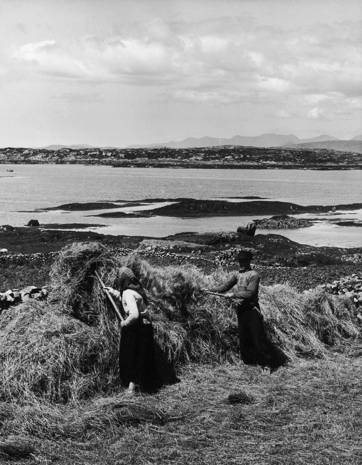 Connemara Hay-Making