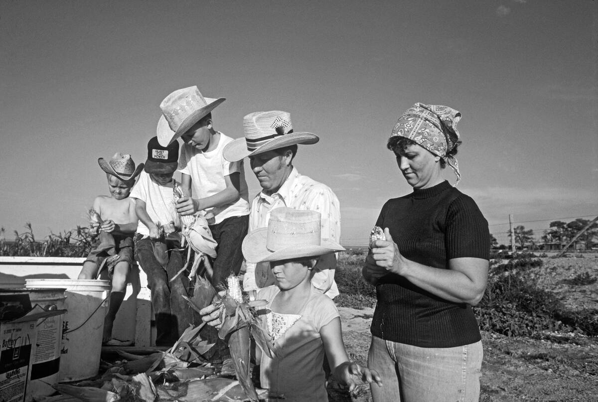 Farm Family Shucking Corn
