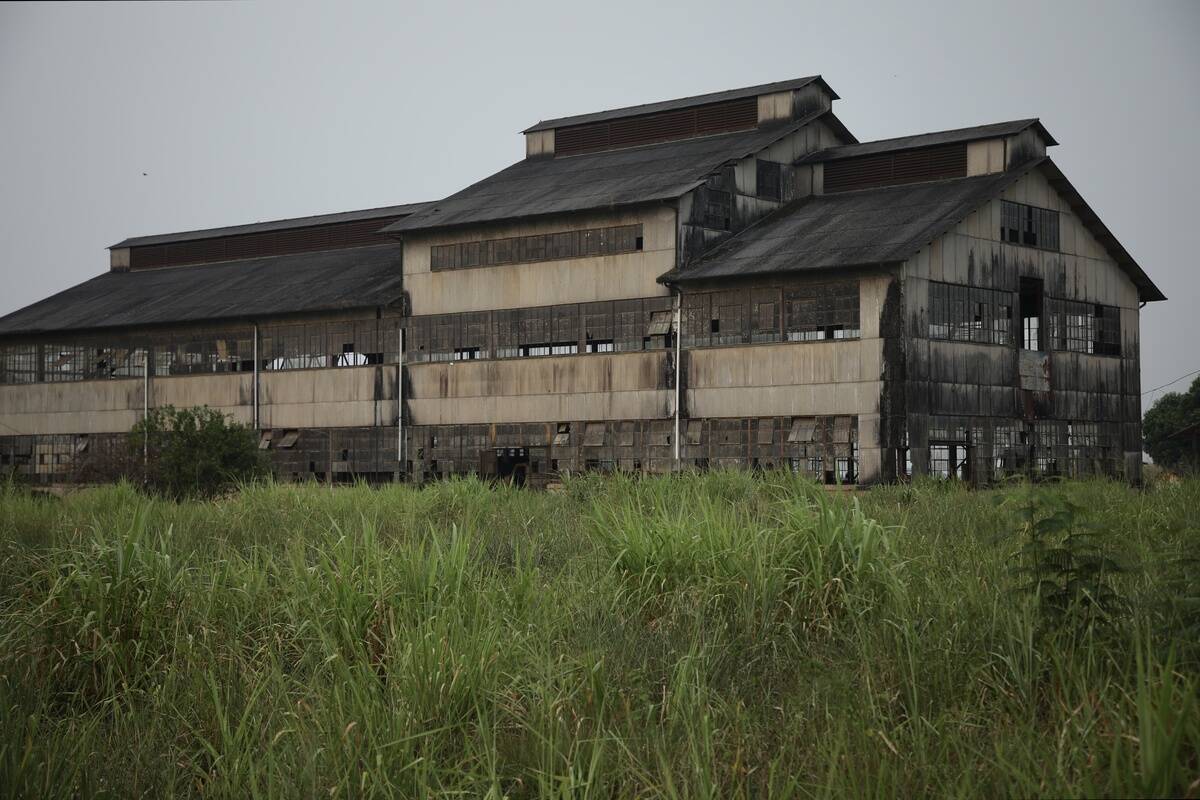 Henry Ford's Fordlândia in Amazon Rainforest