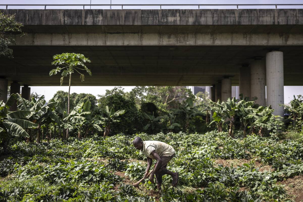 NIGERIA-AGRICULTURE-URBAN