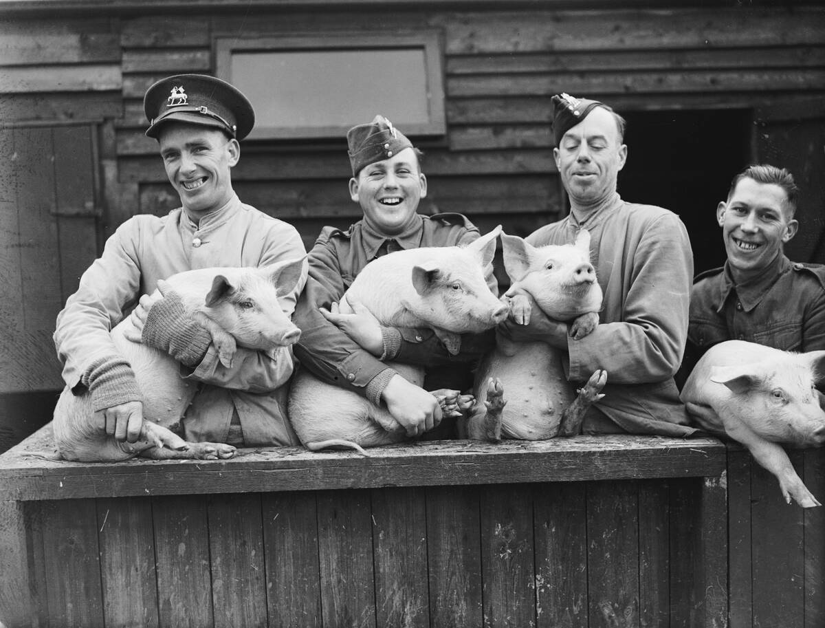 Pig Keepers