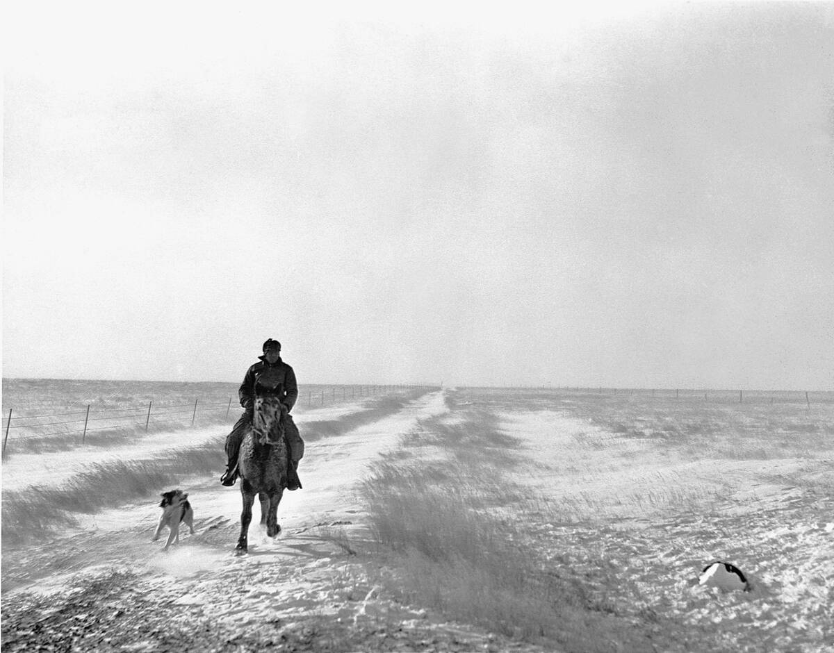 Rancher and Dog on the Range in Winter