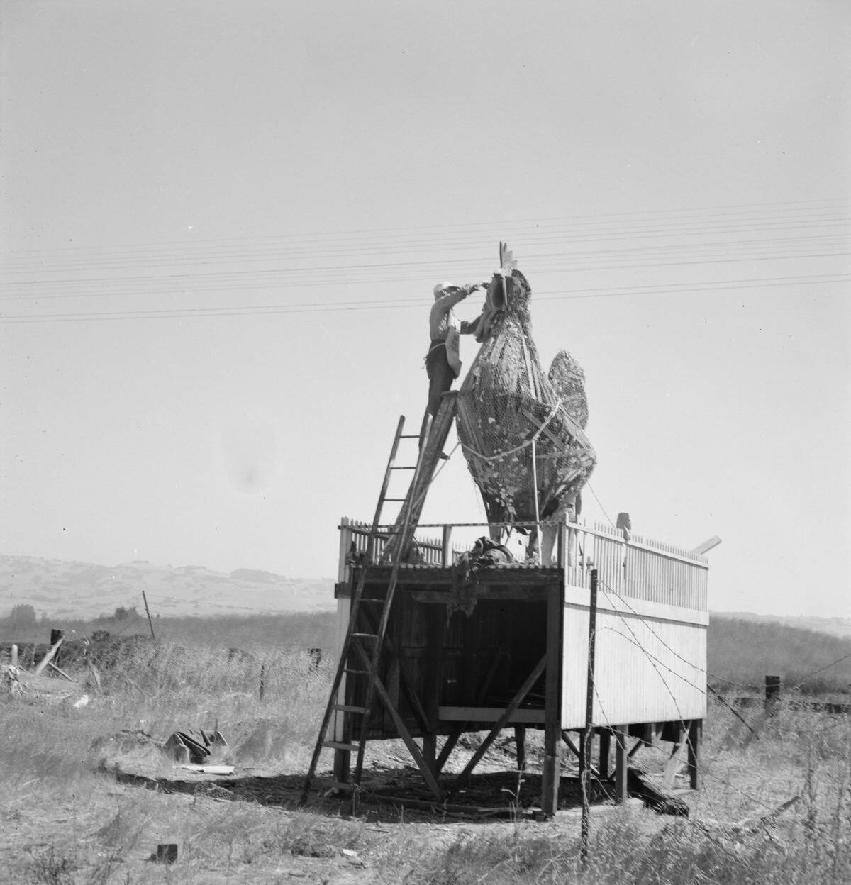 Roadside Sculpture (Under Repair) On U.S. 101