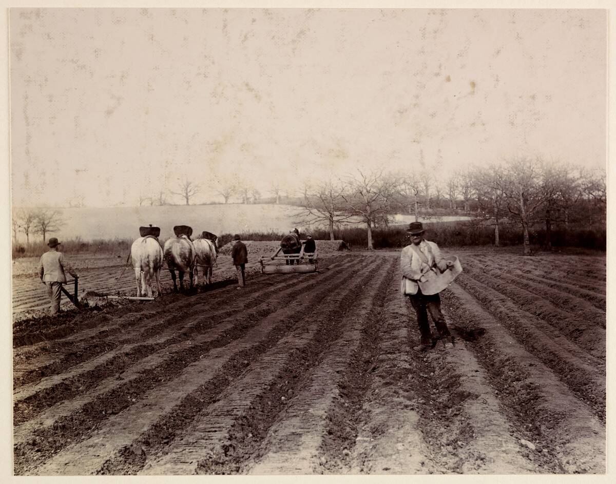 The Sower, 1888.