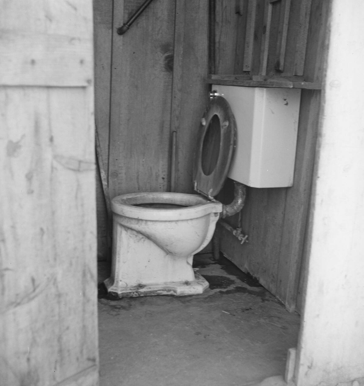 Toilet For Ten Cabins