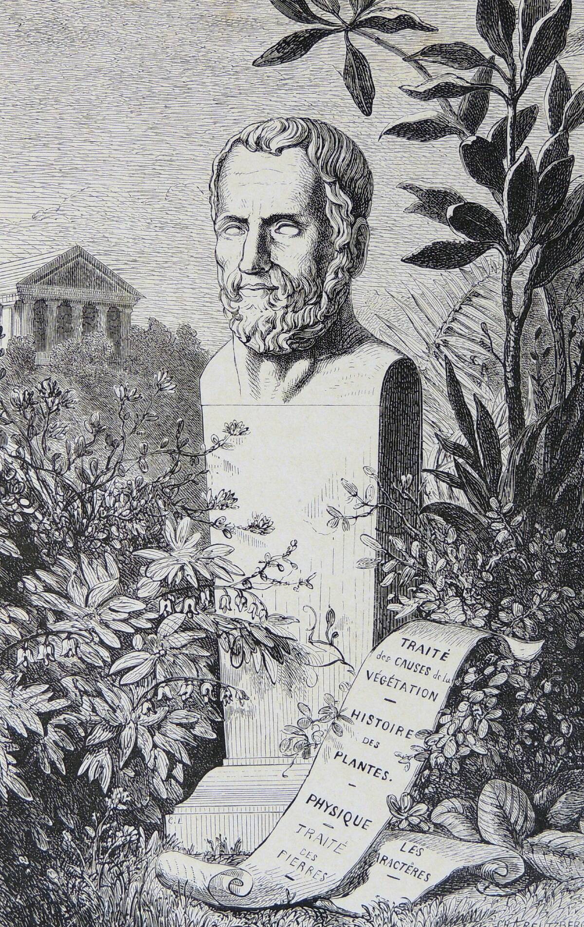 Ancient Greek Philospher, Theophrastus.