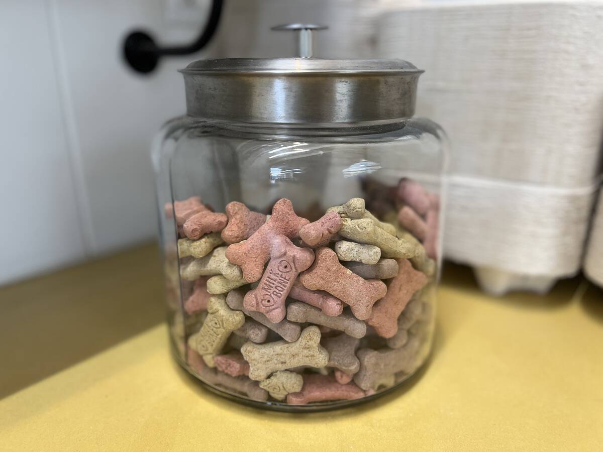 Dog Treats Display
