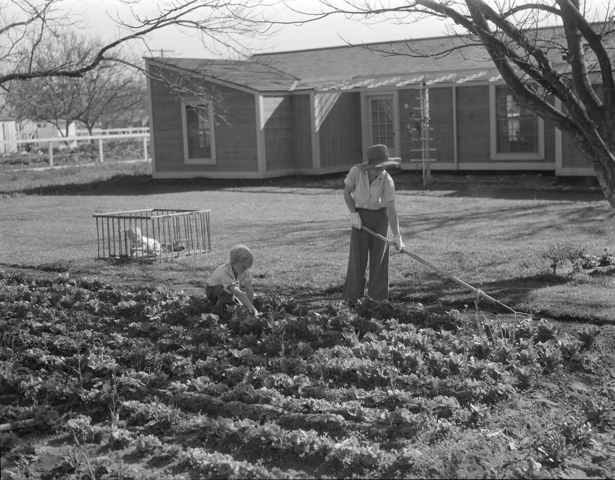 El Monte Federal Subsistence Homesteads