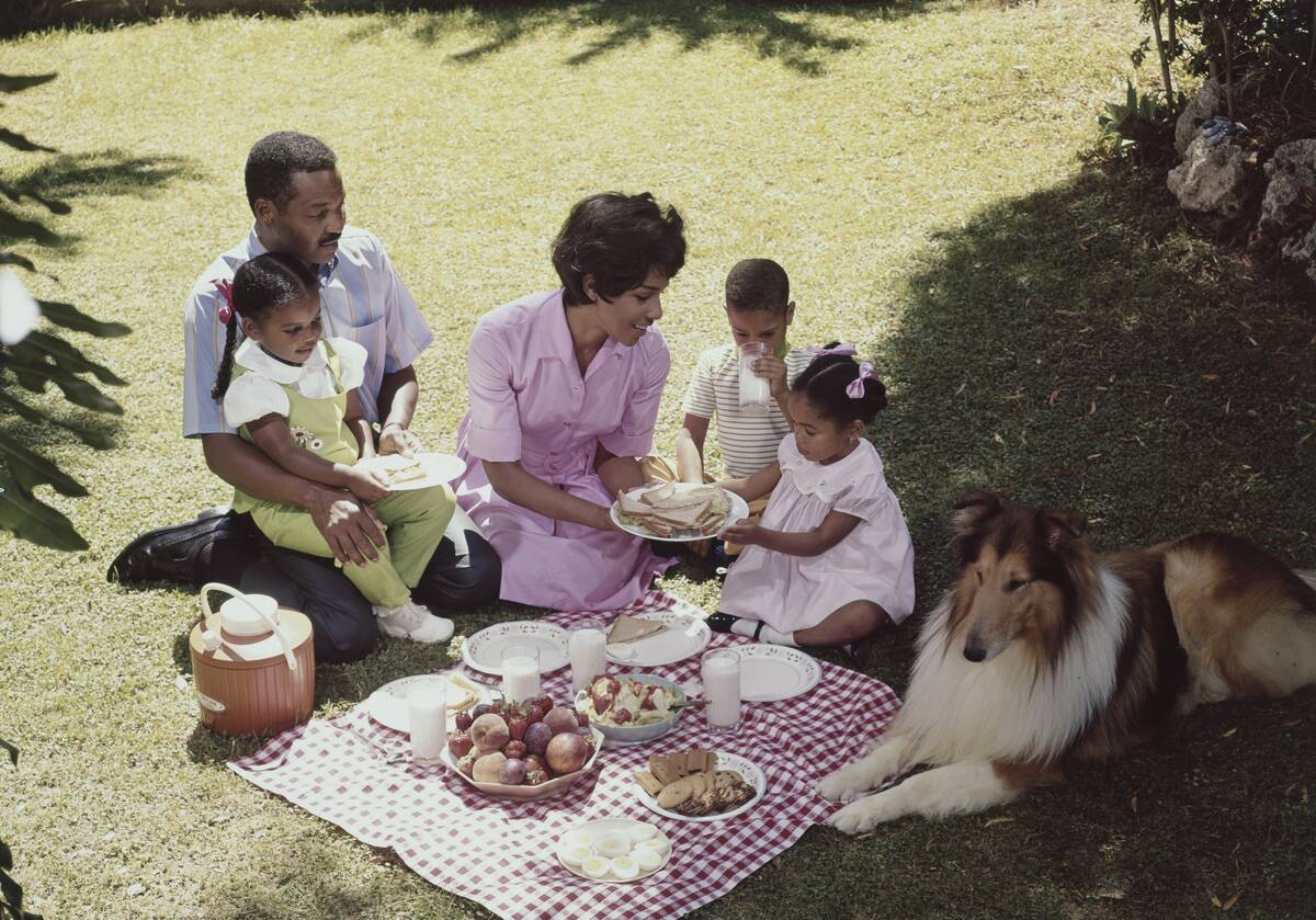 Family Picnic