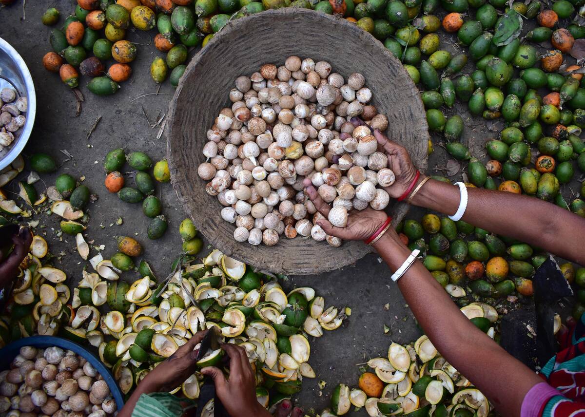 INDIA-LABOUR-BETEL