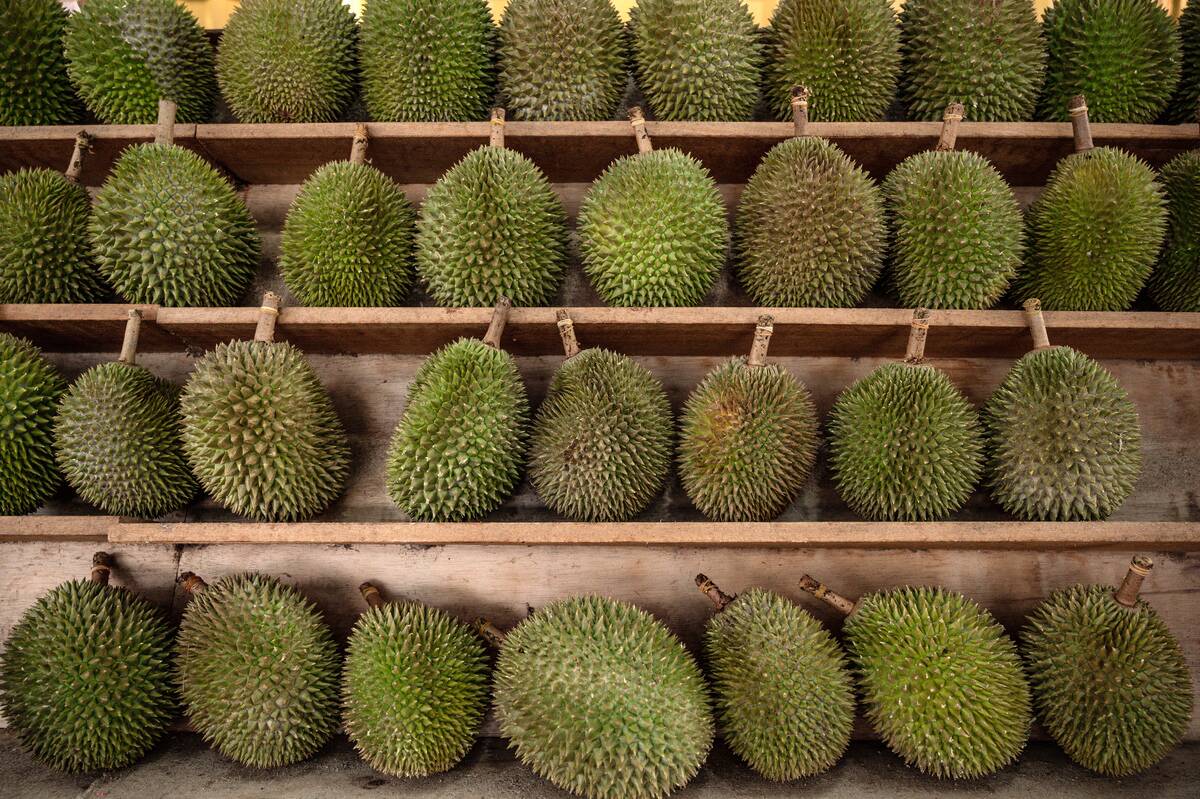 MALAYSIA-HEALTH-VIRUS-FOOD-BUSINESS-DURIAN
