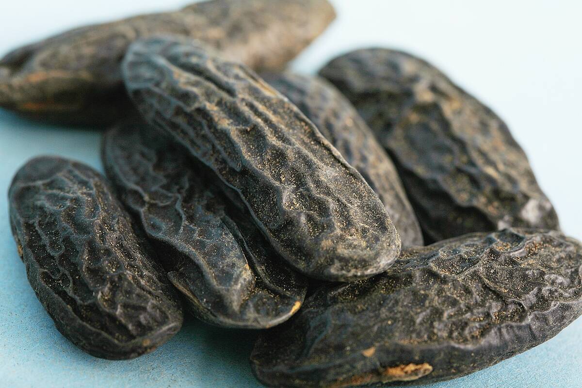 Studio shot of Tonka beans, close-up