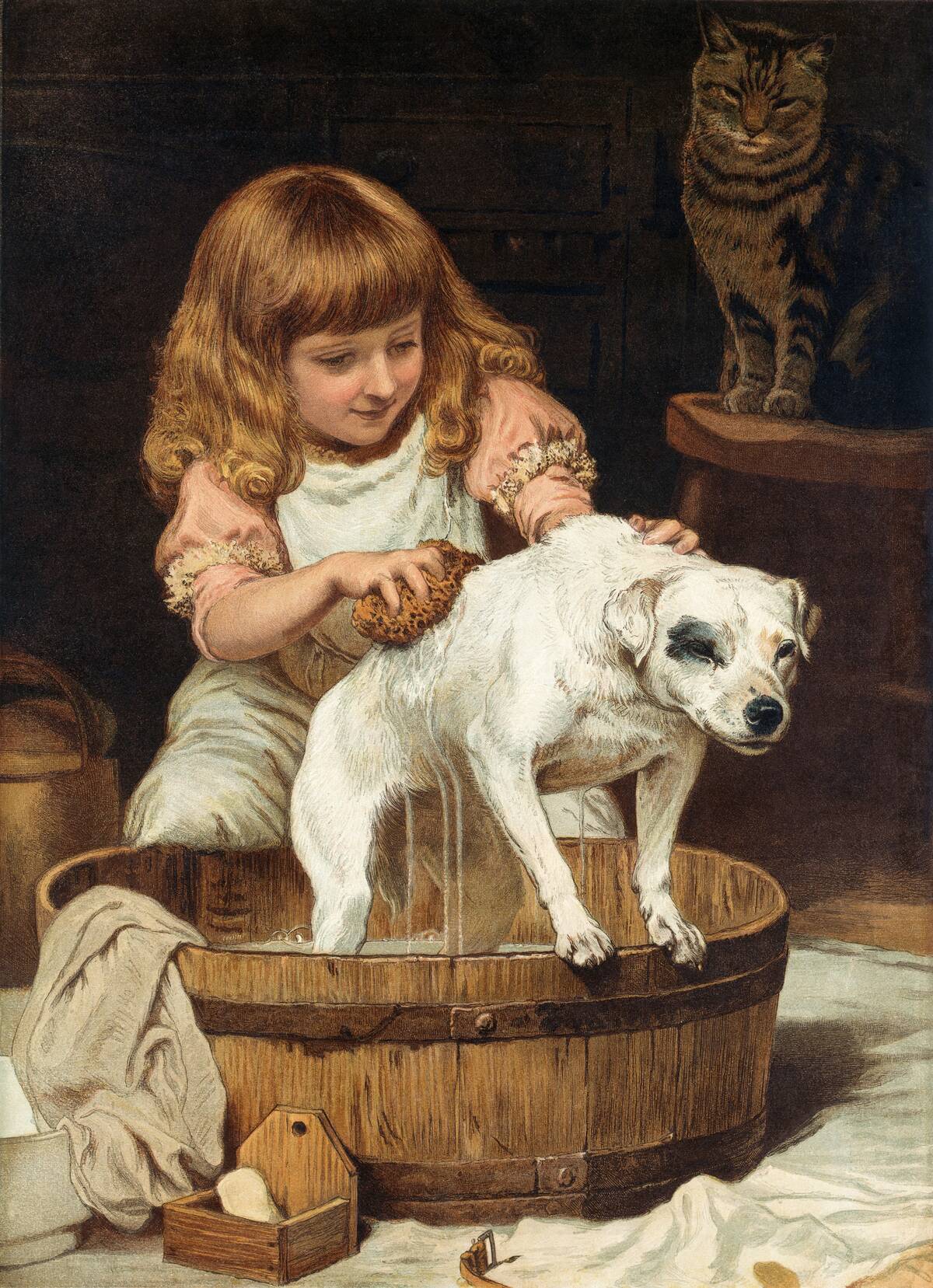 The Order of the Bath by Charles Burton Barber