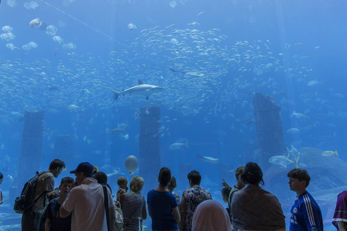 Tourist Enjoy The Atlantic Aquarium