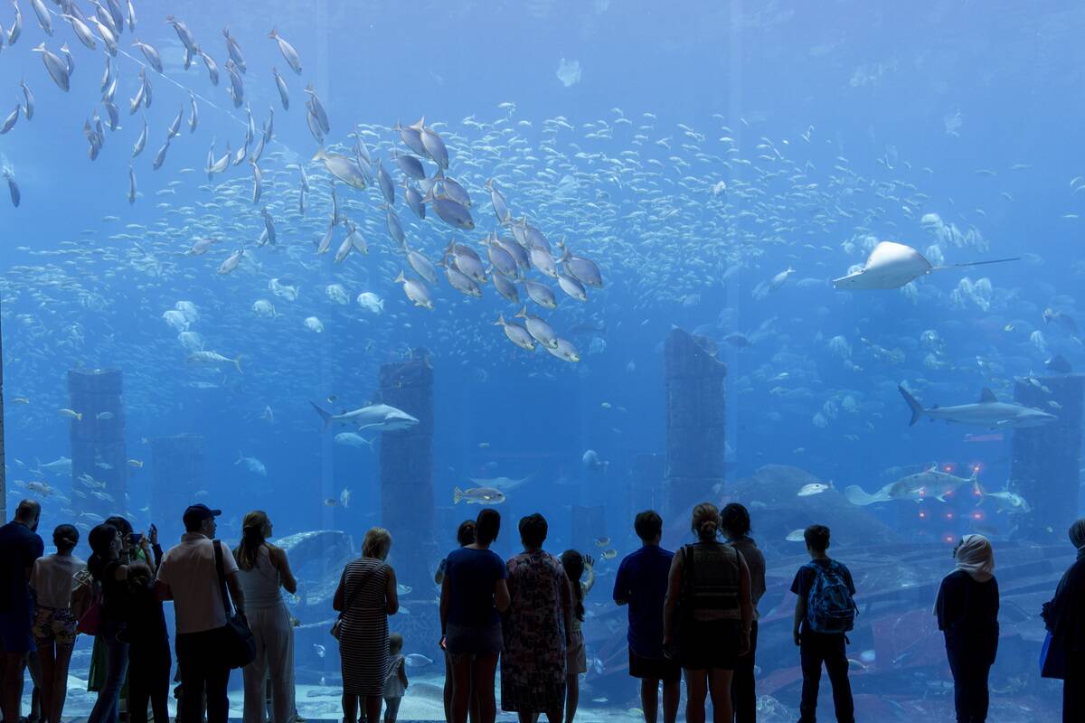 Tourist Enjoy The Atlantic Aquarium