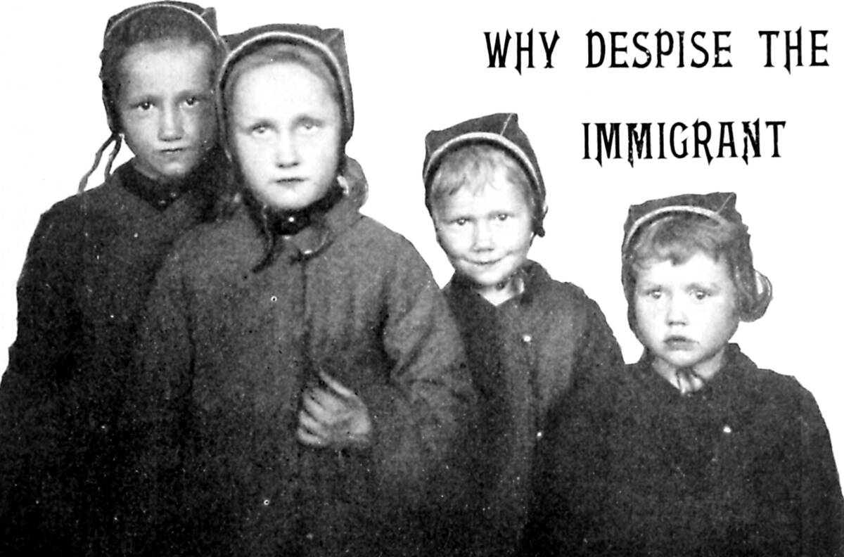 Why Despise The Immigrant