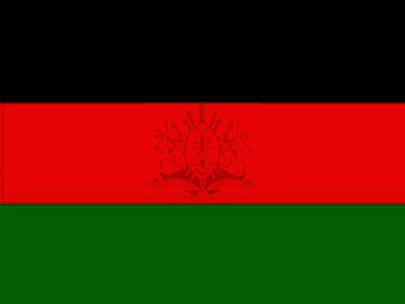 Conjectural_flag_of_Zulu_state_by_I.Y.I.L.E (1)