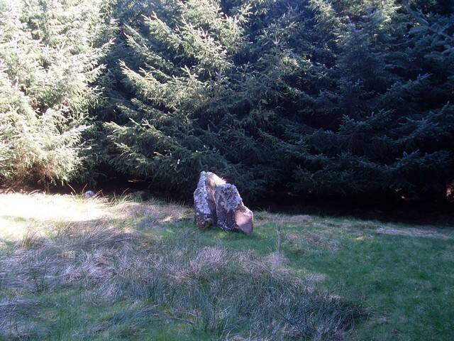 Standing_stones_in_forest_by_Cochno_Loch_ geograph.org.uk_-_1260479