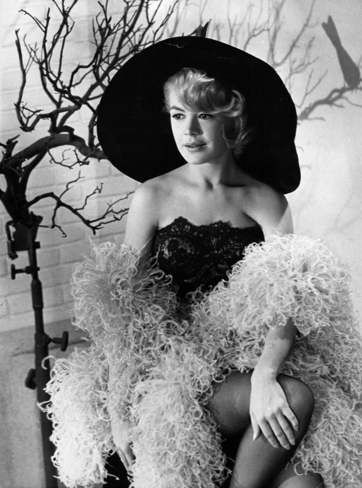 Sandra Dee With Hat