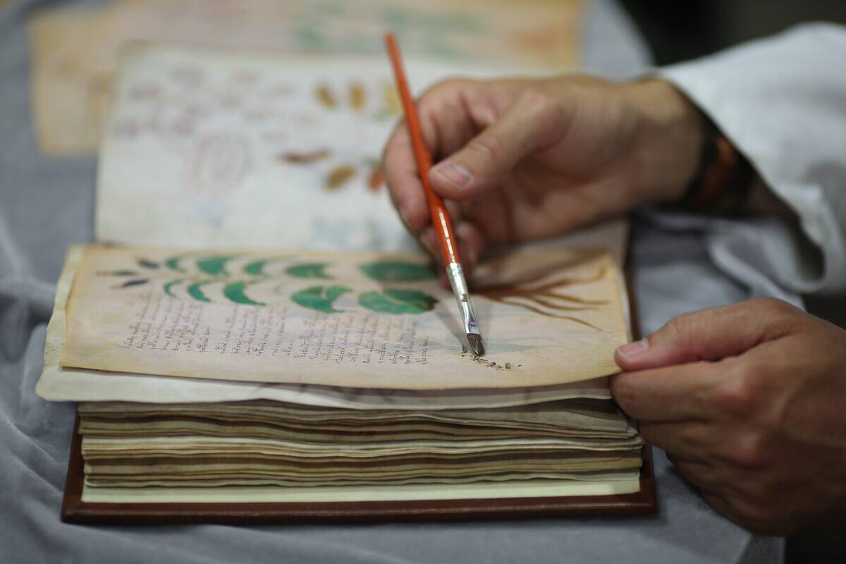 SPAIN-VOYNICH-BOOK-MYSTERY