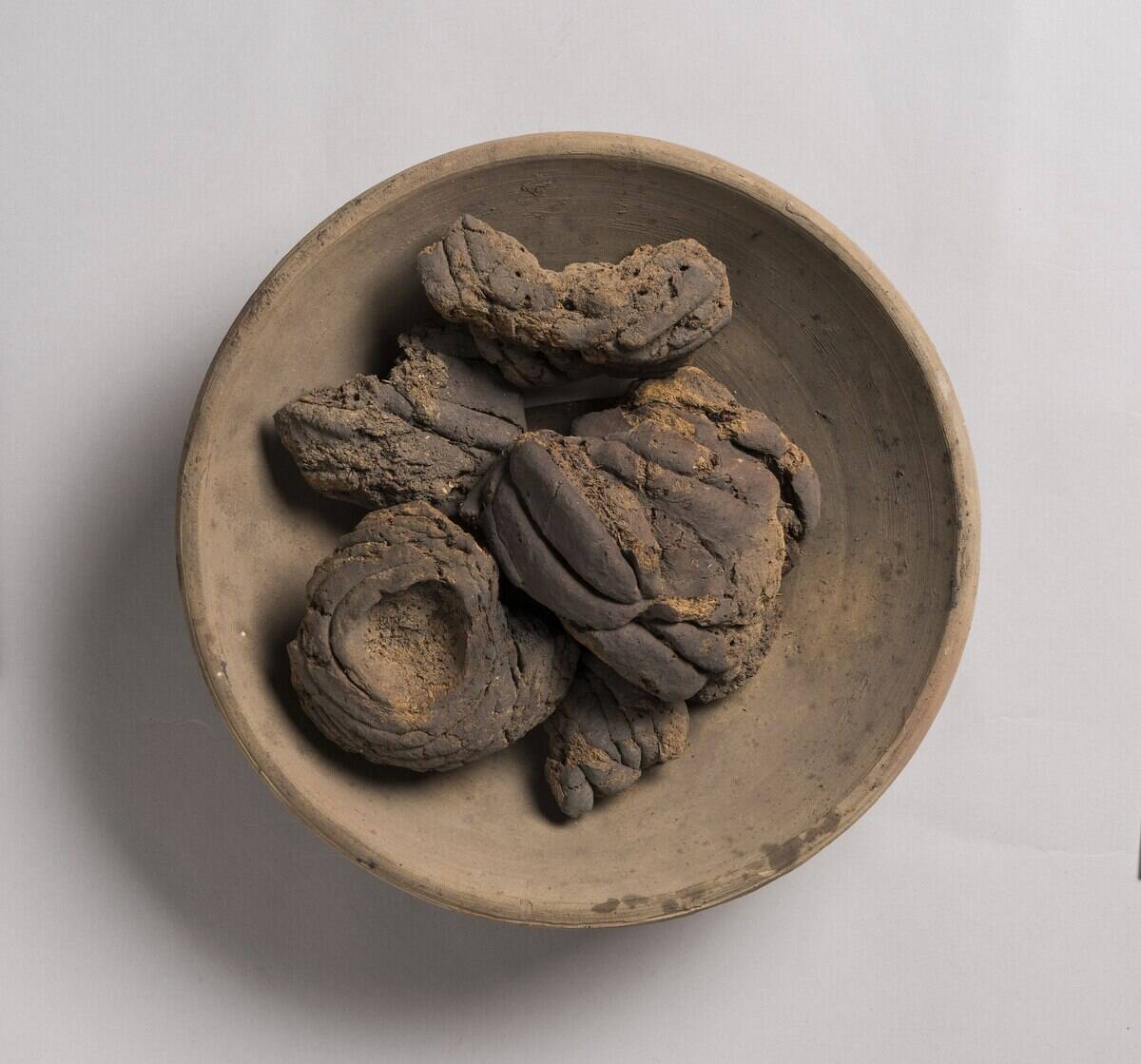 3840px-Dried_animal_dung,_used_as_fuel_ Museo_Egizio,_Turin_S_8649_p02