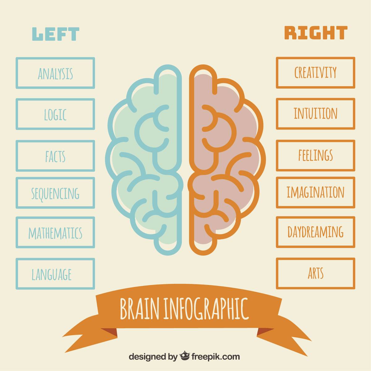 Left_right_brain