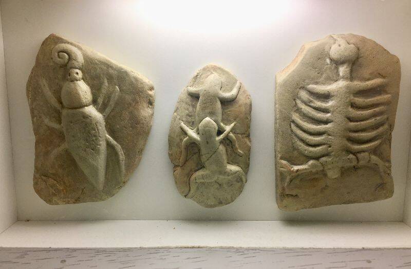 Luegensteine_Senckenberg