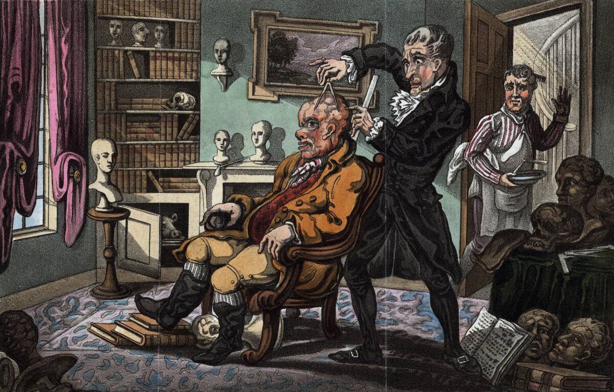 A Craniological Examination