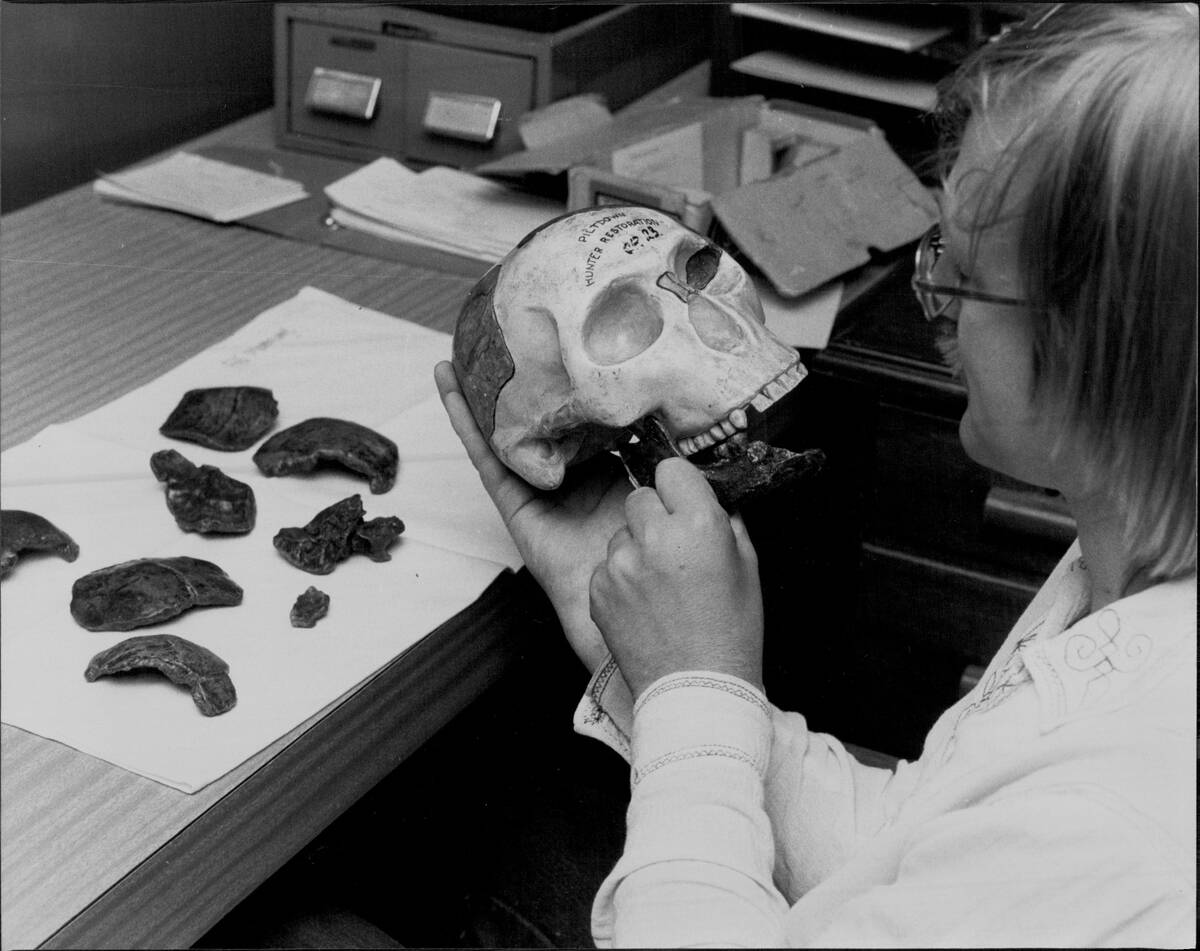 Ian Langham of the History and Philosophy Science Dept. at Sydney University. Holding a Hunter restoration of the 1912 Piltdown man made from copies of the original bones.