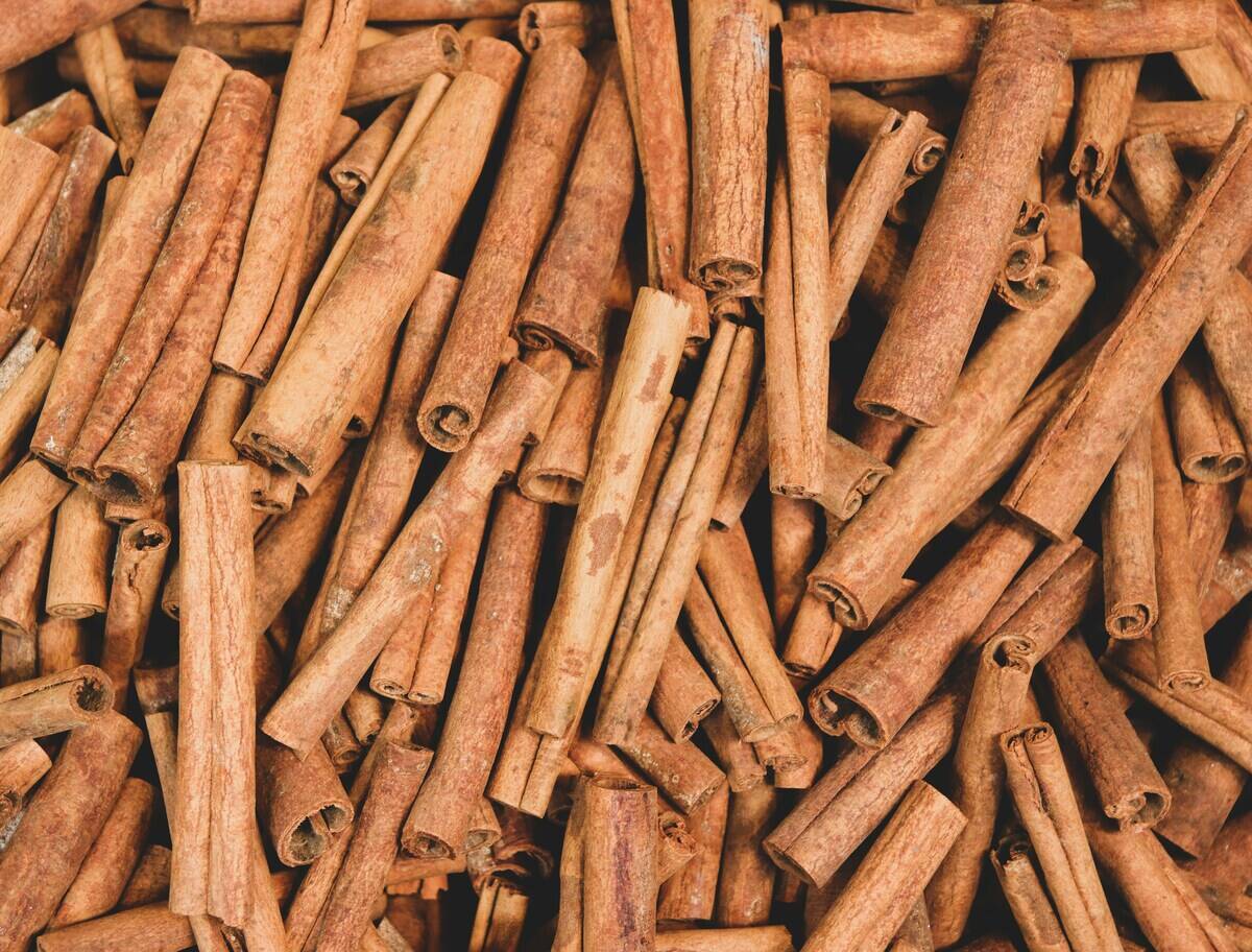 marta-matyszczyk-yGFJqsMKeJ4-unsplash