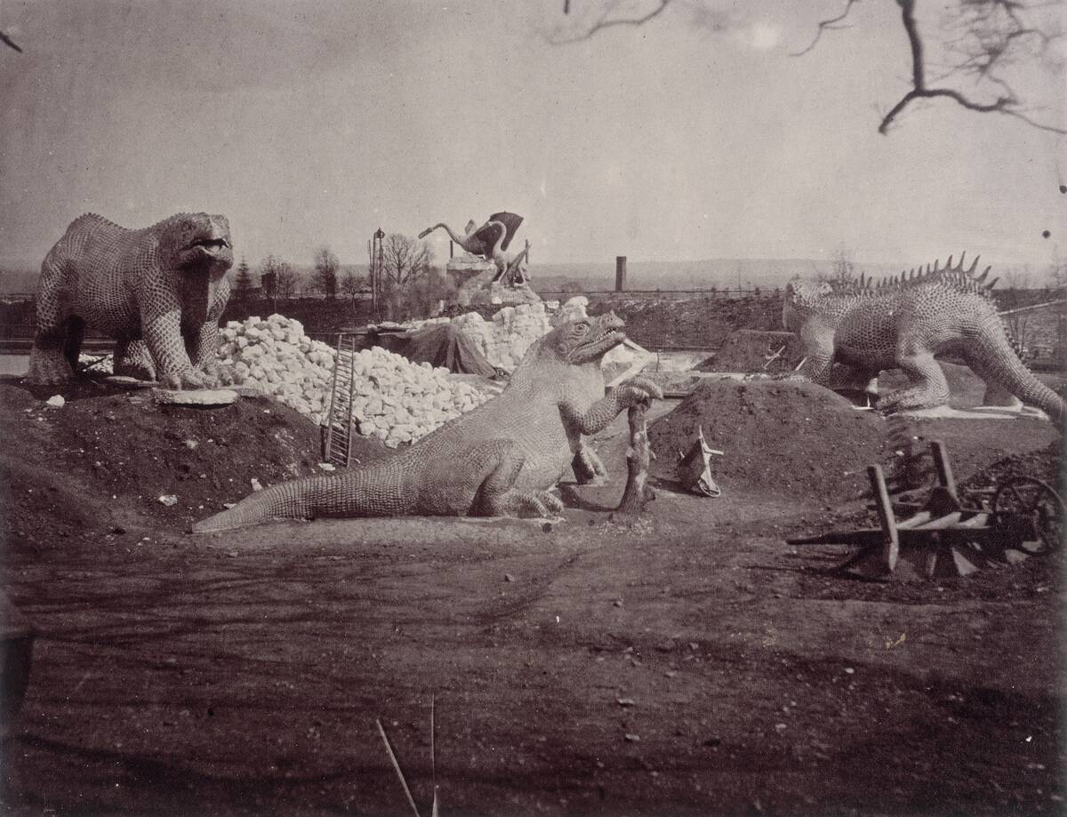 Models Of Extinct Animals C