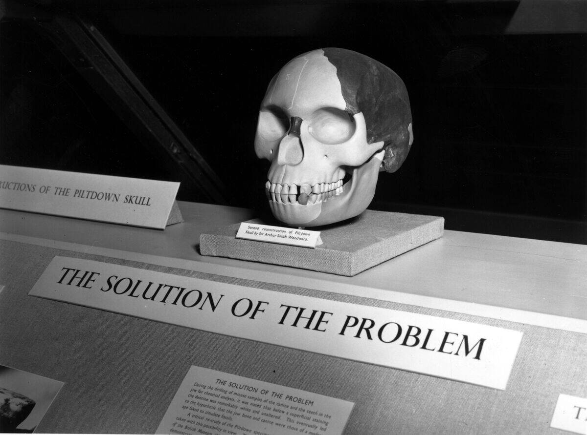 Piltdown Skull