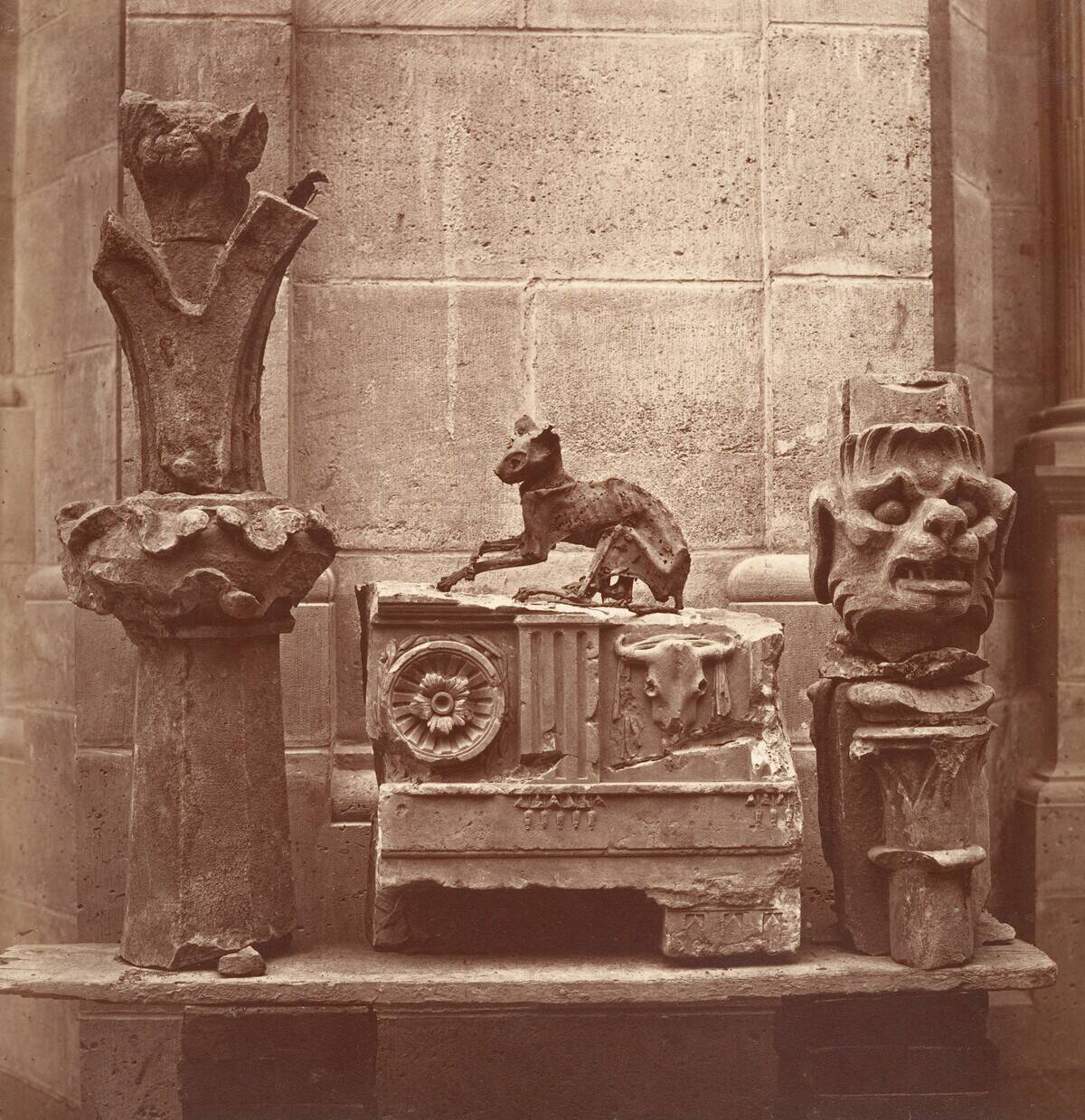 The Mummifying Cat.