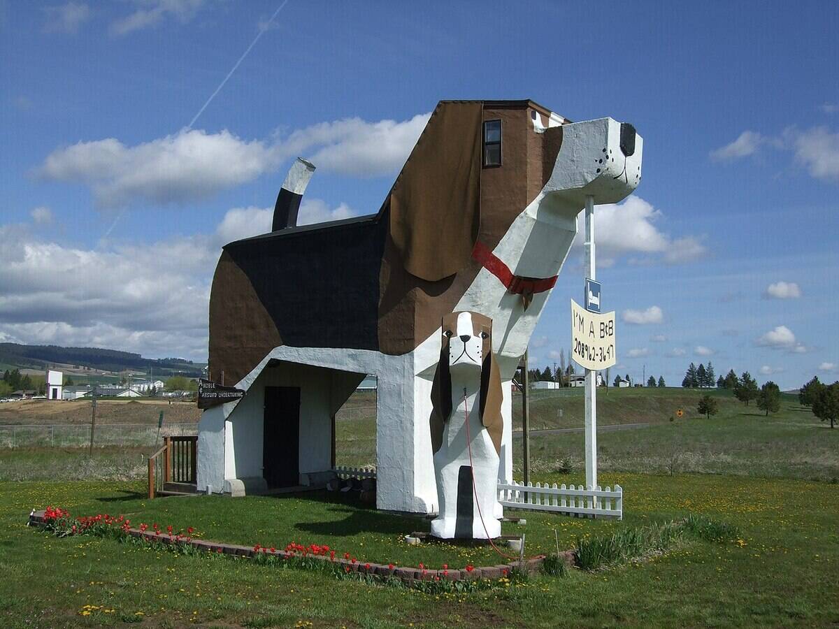 1280px-Toby_and_Sweet_Willie_Dog_Bark_Park_Inn