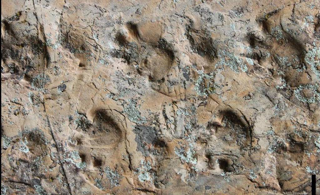 Picture of footprints