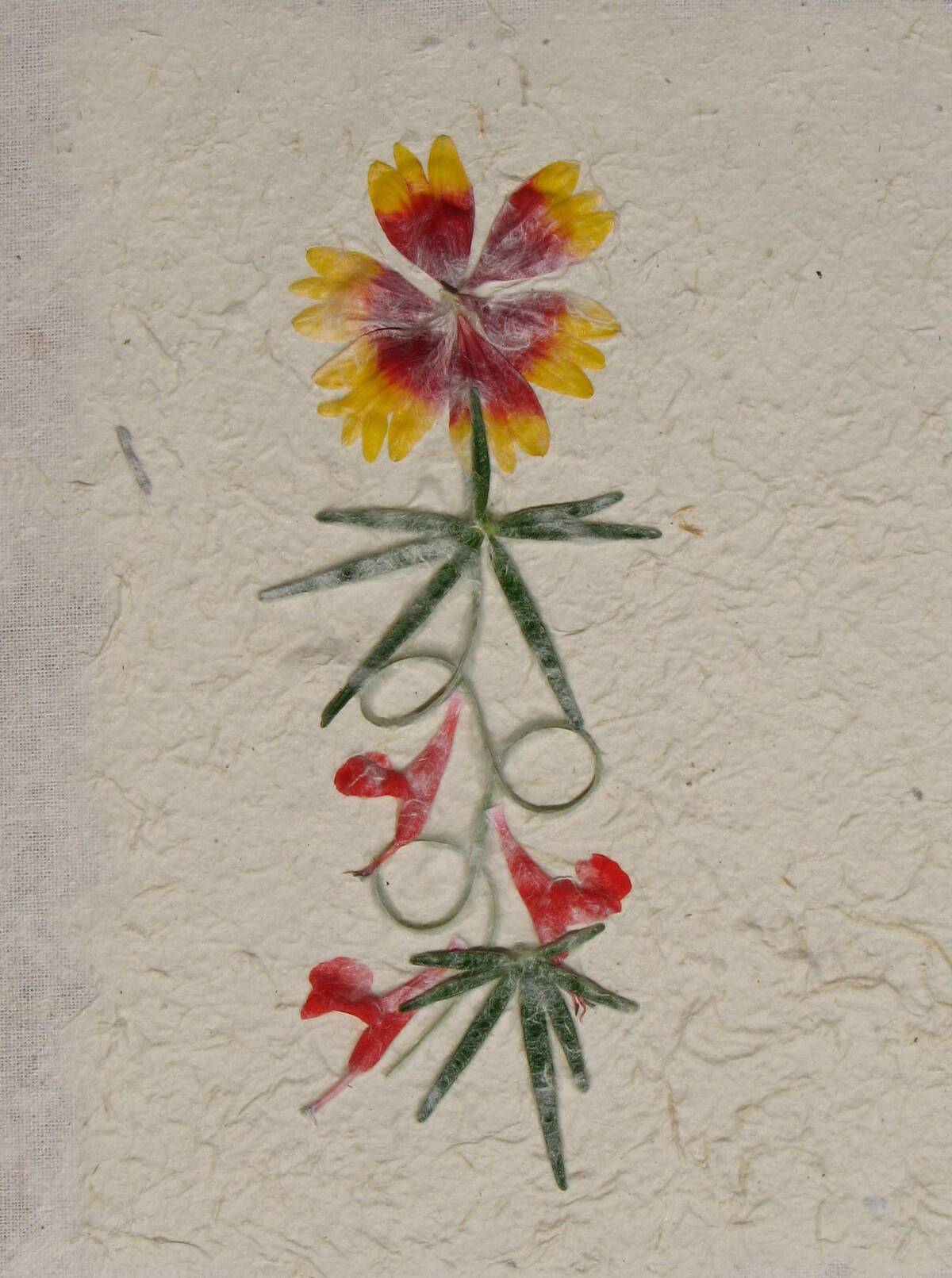 Papier_antaimoro