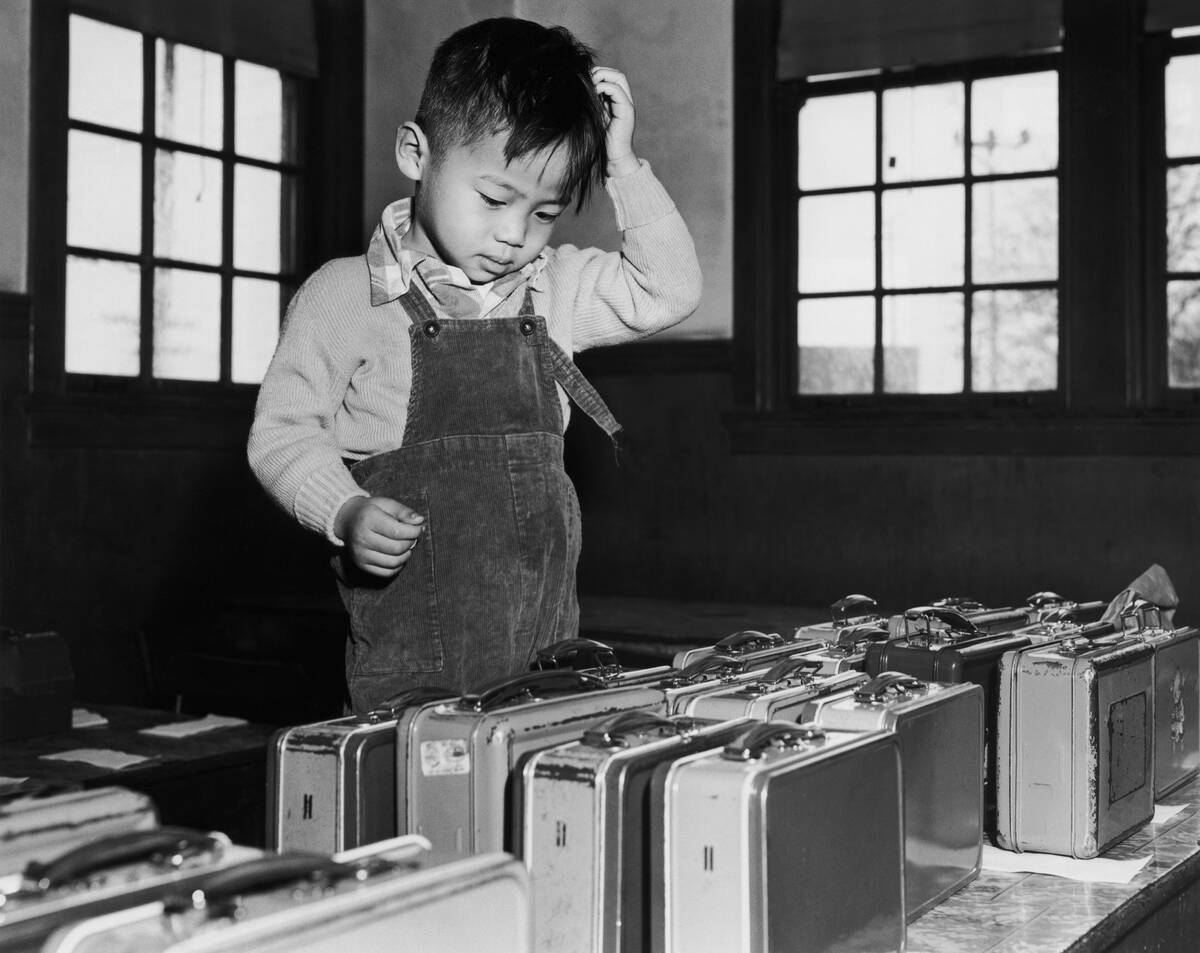Boy Looking for His Lunchbox