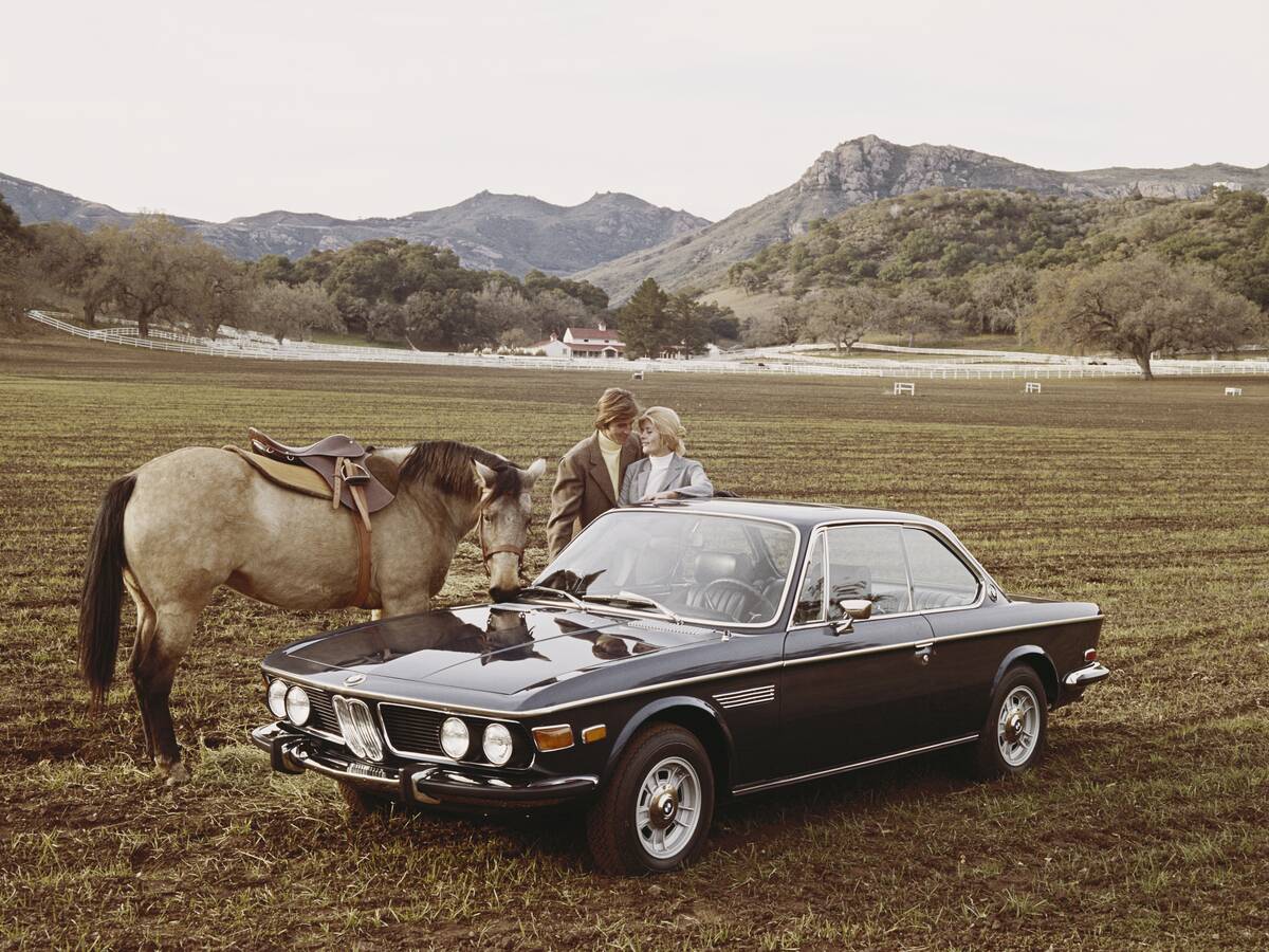 Couple standing besides car and horse