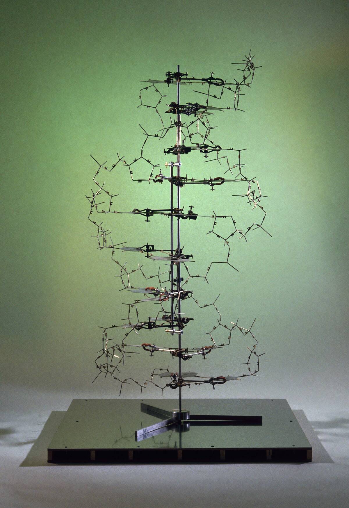 DNA molecular model, 1993.