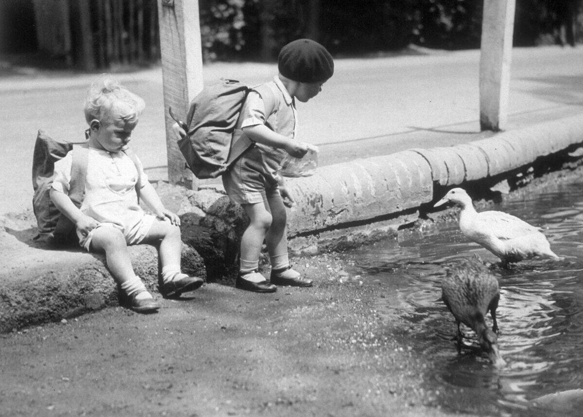 Feeding The Ducks