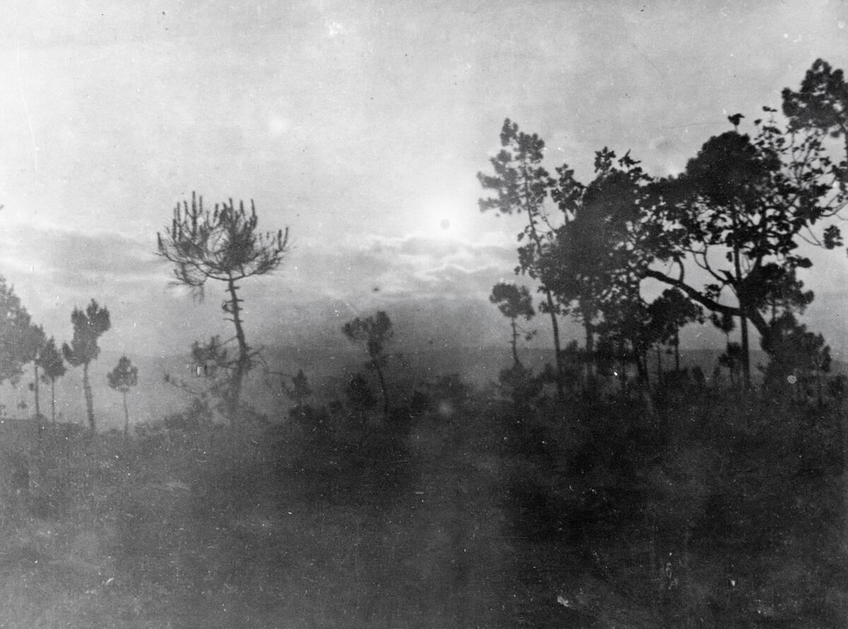 Miracle at Fatima