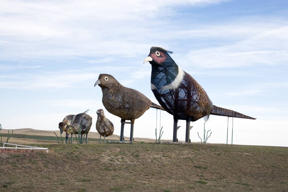 Pheasants on the Prairie, Enchanted Highway, Regent, North Dakota